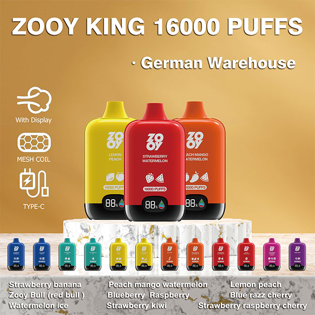 Tragbare E-Zigaretten mit zehn verschiedenen Geschmacksrichtungen ZOOY VAPE RAINBOW BOX 16K